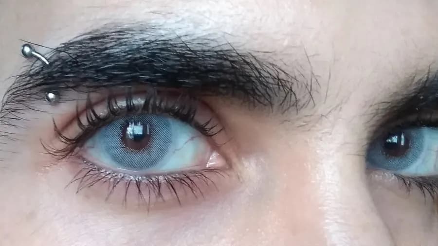 Gris Polar